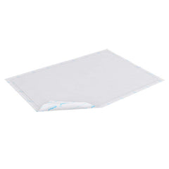 Collection image for: Incontinence Underpads