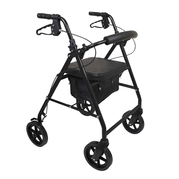 ProBasics Deluxe Aluminum Rollator with 8-inch Wheels