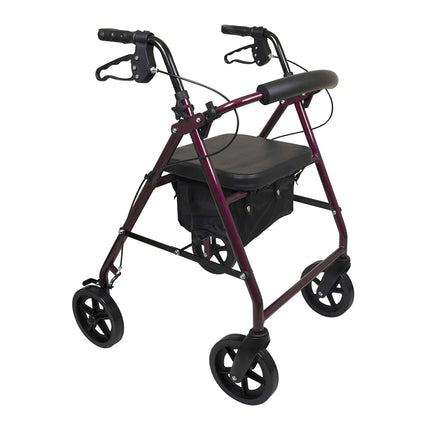 ProBasics Deluxe Aluminum Rollator with 8-inch Wheels